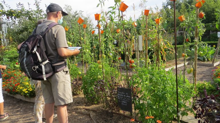 Jury Plants Potager Label Rouge