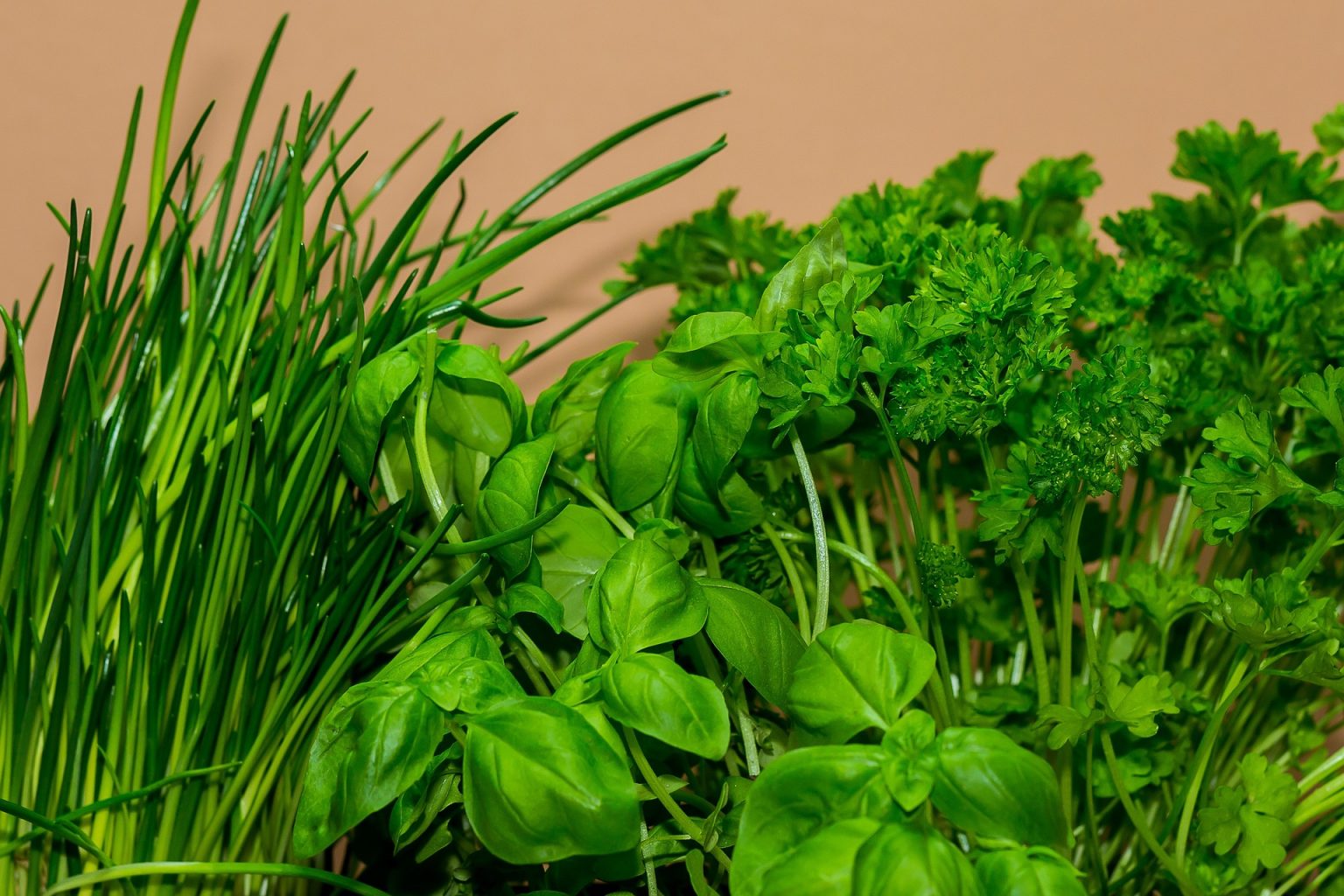 Plants Aromatique Label Rouge