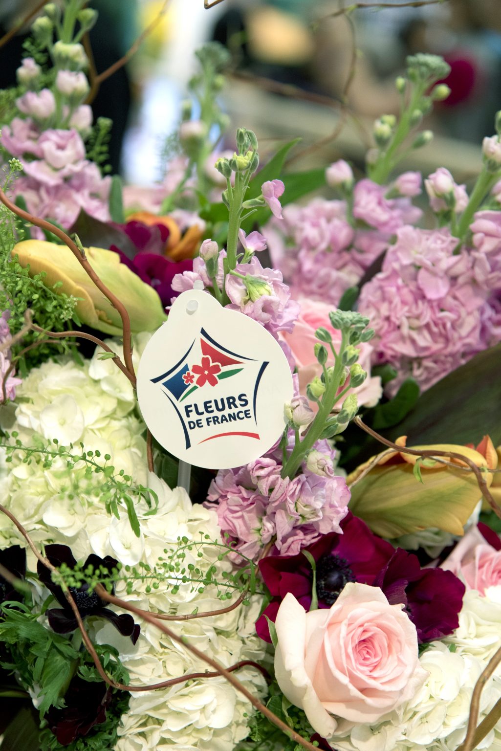 Logo Fleurs de France