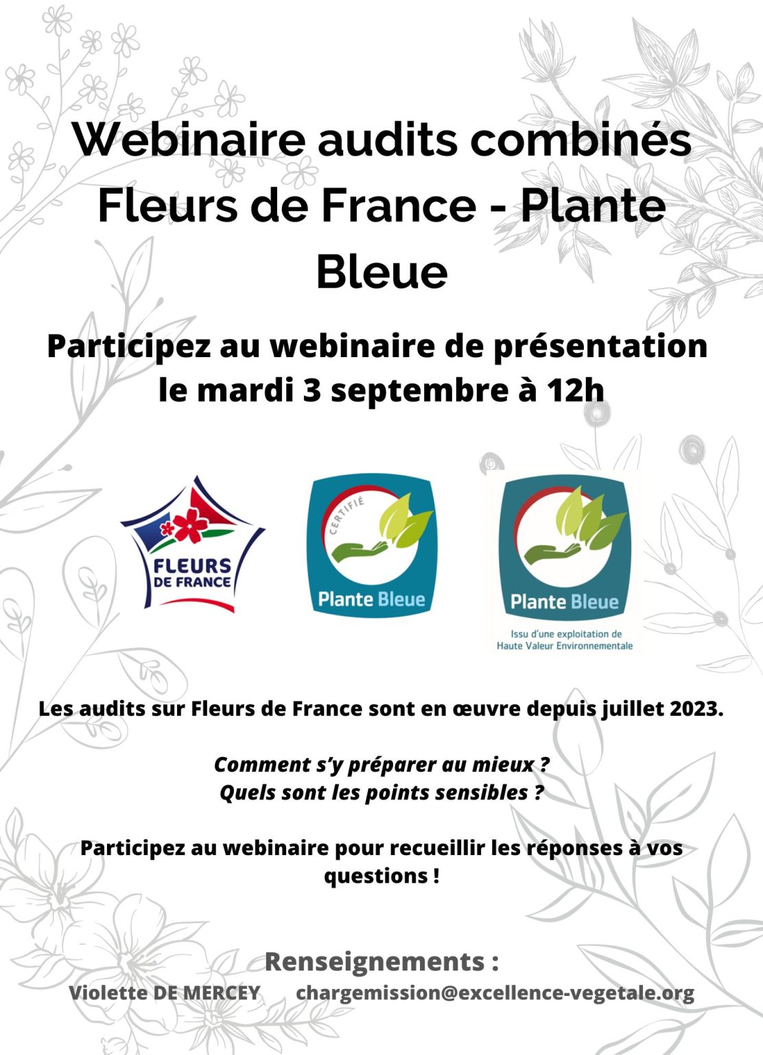 audits combinés